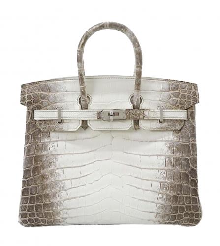 HERMES BIRKIN 25 HIMALAYA CROCODILE NILOTICUS MAT