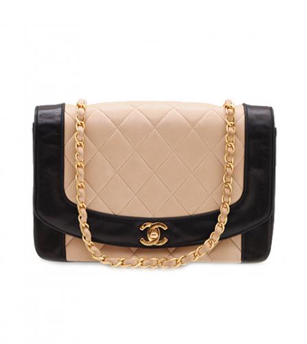 CHANEL BI-COLOR DIANA FLAP BAG