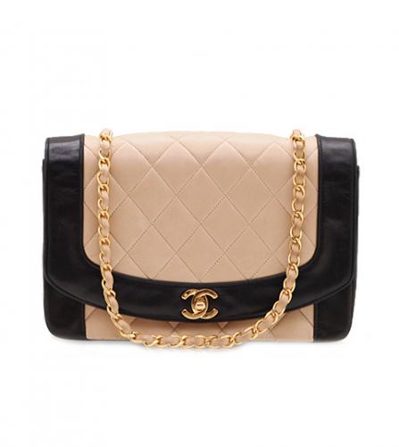 CHANEL BI-COLOR DIANA FLAP BAG