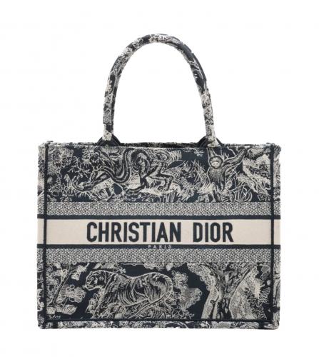 Dior Book Tote