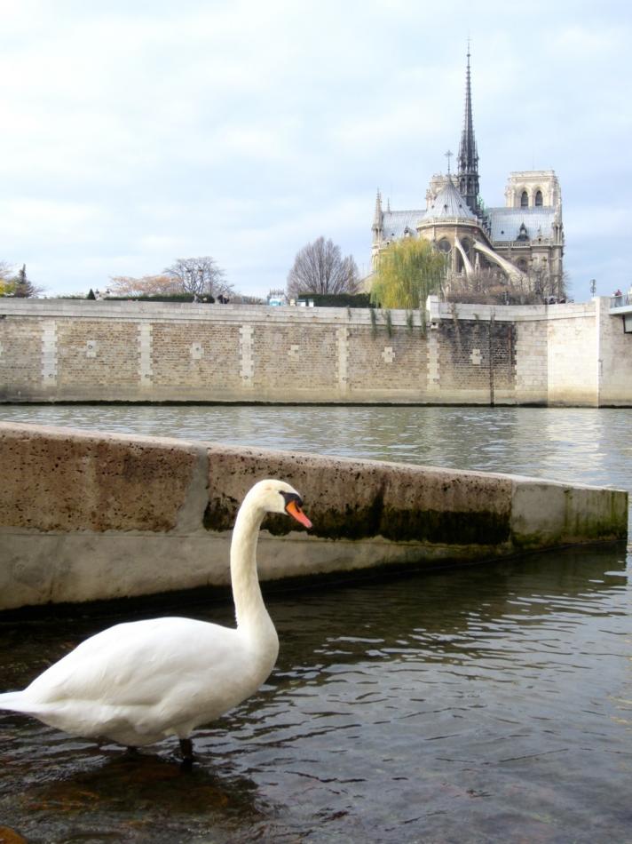 NOTRE-DAME DE PARIS