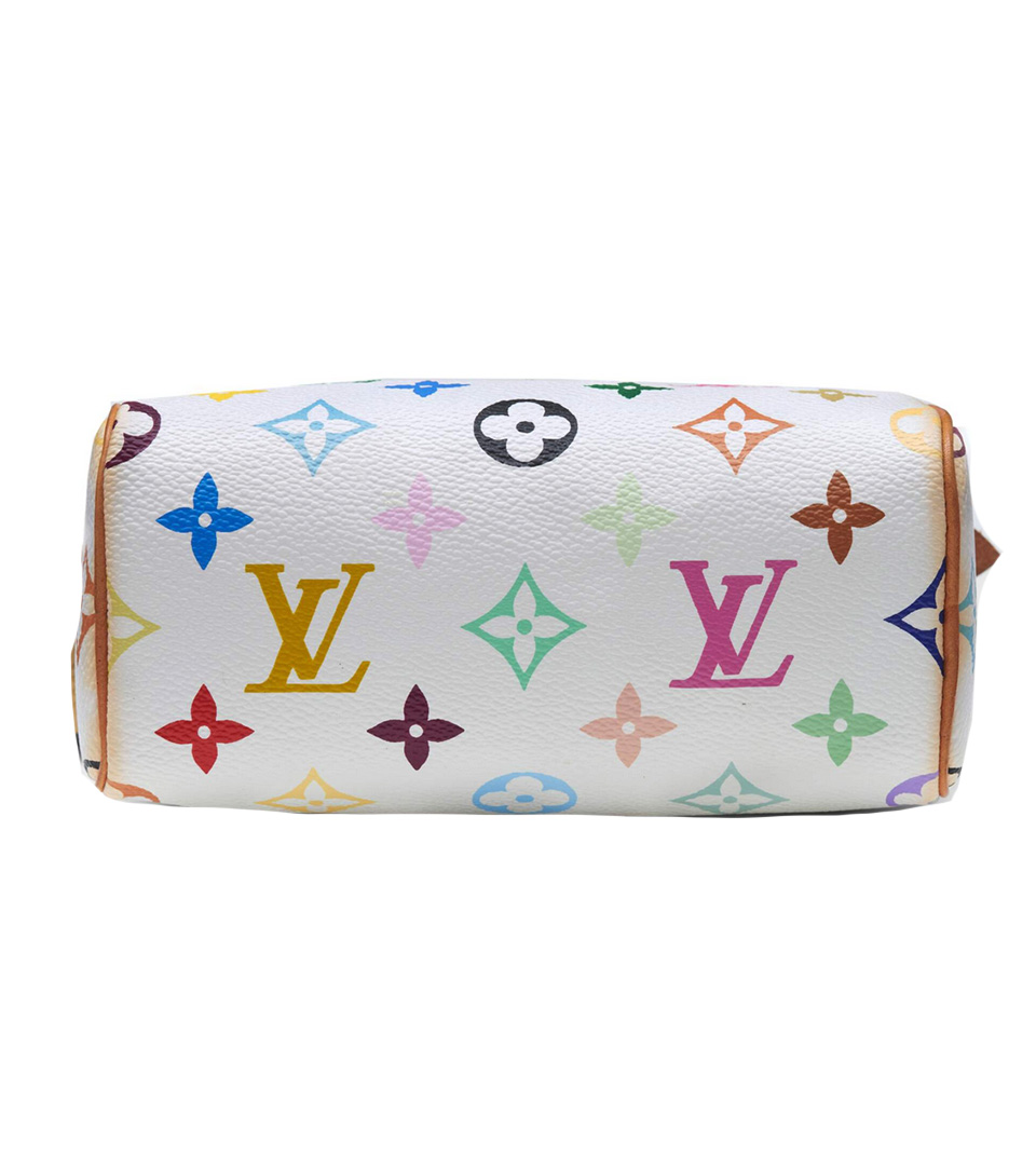 Louis Vuitton Multicolor Mini Speedy Bag